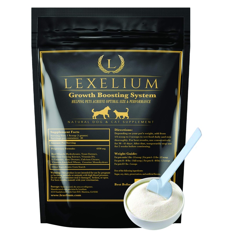 Lexelium Weight Gainer Supplement for Dogs & Cats – Muscle Building & Appetite Stimulation – 100% Natural Pet Supplement to Add Weight & Increase Immunity in Puppies and Kittens -200g