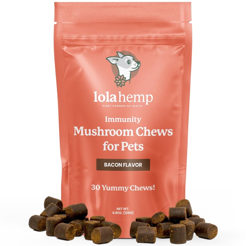 Lolahemp Mushroom Supplement for Dogs – Tasty Chews with Organic Mushroom Complex for Immune System & Cognitive Health – Turkey Tail, Reishi, Shiitake, Maitake & Lion’s Mane