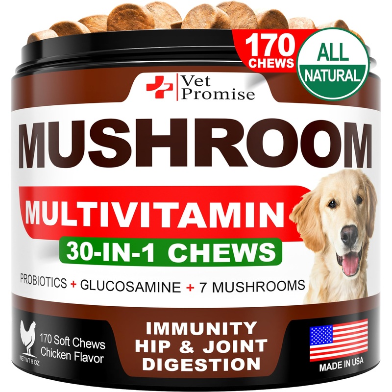 Mushroom for Dogs – 170 Chews – Turkey Tail Mushroom for Dogs – Mushroom Supplement for Dogs – Lions Mane – Reishi – Immunity Support Multivitamin – Joint Health – Energy – Gut – Skin – Dog Vitamins Mushroom Multivitamin