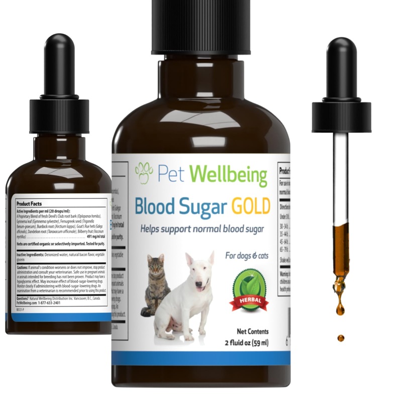Pet Wellbeing – Blood Sugar Gold for Cats – Natural Support for Healthy Blood Sugar Levels in Diabetic Cats – Insulin Stabilization & Normal Pancreatic Function – 2 oz (59 ml) 2oz