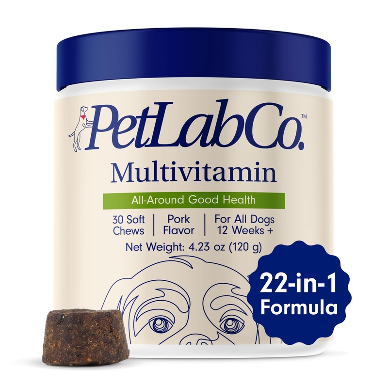PetLab Co. 22 in 1 Dog Multivitamin – Support Dog’s Immune Response, Skin, Coat, Joints & Overall Health – Vitamins A, E, D, B12, Minerals, Antioxidants – Chewable Pork Flavor Single Pack