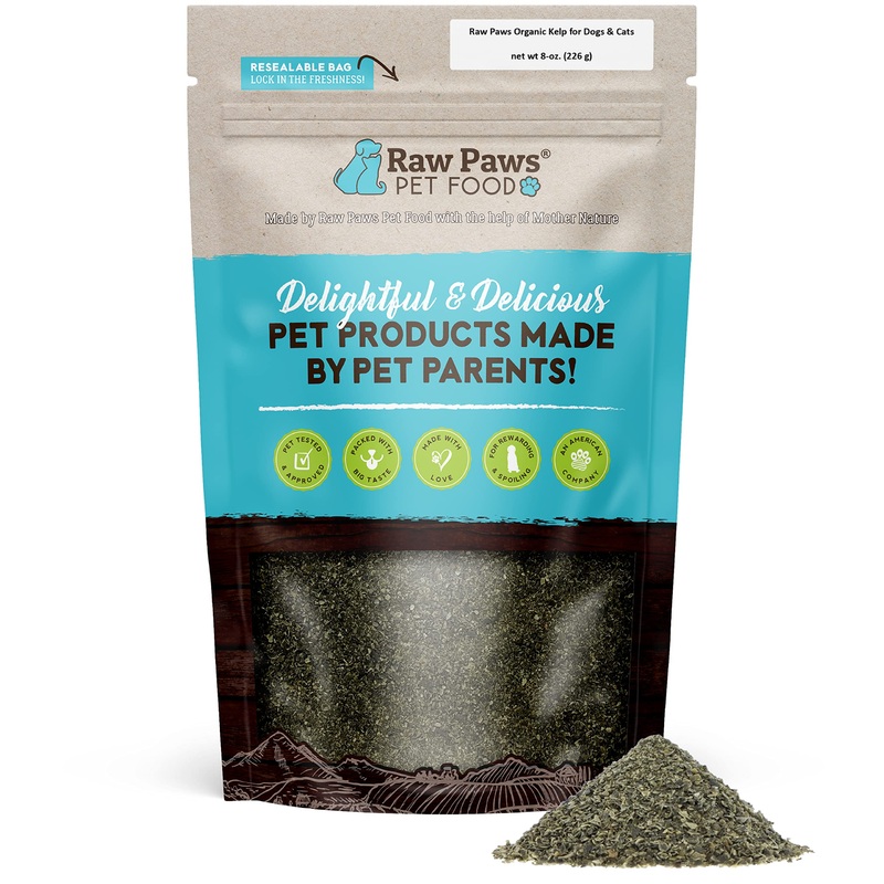 Raw Paws Organic Kelp for Dogs & Cats, 8-oz – Iodine Rich for Thyroid, Digestive & Immune Health – Seaweed Powder for Dogs, Sea Kelp for Cats, Kelp Supplement for Dogs, Dried Kelp Powder for Dogs 8 oz