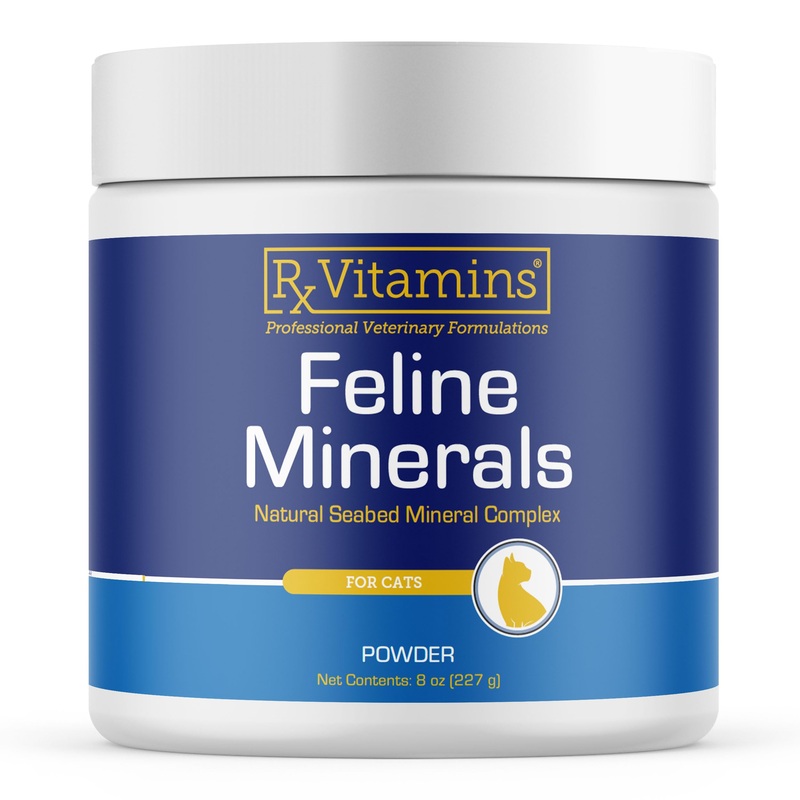 Rx Vitamins Feline Minerals – Taurine for Cats for Cat Heart Health – Calcium for Cat Joint Supplement – Immune Support for Cats with Magnesium & Potassium – Cat Skin and Coat Supplement – 8oz New Label