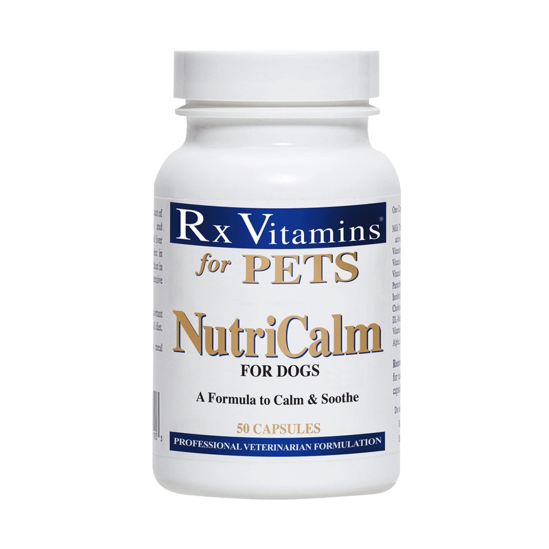 Rx Vitamins NutriCalm Dog Anxiety Relief – Dog Separation Anxiety Supplement – Calming Aid for Dogs – Keep Dog Calm for Vet, Thunder, & Travel – 50 ct