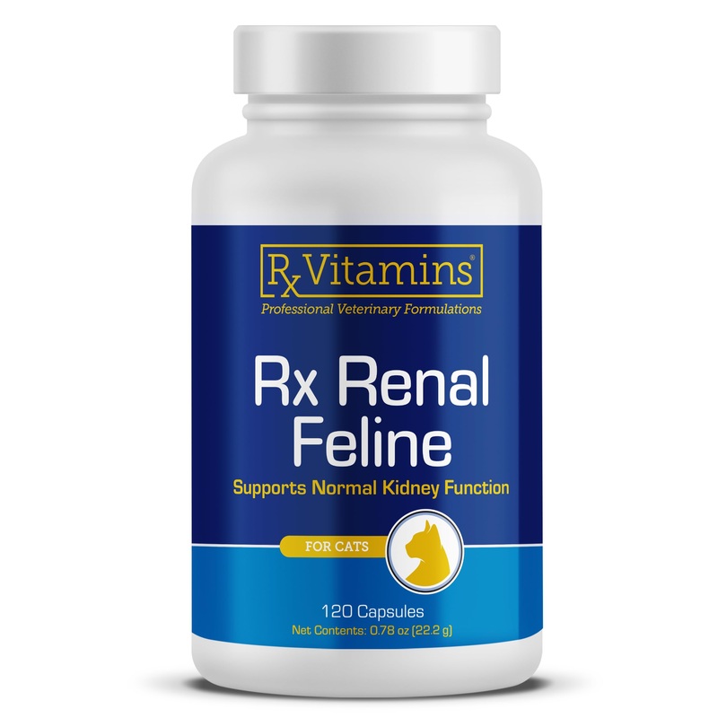 Rx Vitamins Renal Feline – Cat Kidney Support with Milk Thistle for Cats – Anti Inflammatory for Cats – Boosts Cat Antioxidant Health & Cat Liver Support – Cat Immune Booster – 120 Capsules New Label