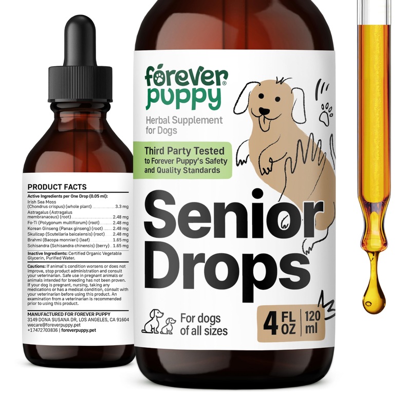 Senior Dog Drops – Immune, Thyroid & Cognitive Support for Elderly Dogs of All Breeds & Sizes – Antioxidant Support for Older Dogs – Liquid Vitamins and Supplements for Senior Wellness – 4 oz
