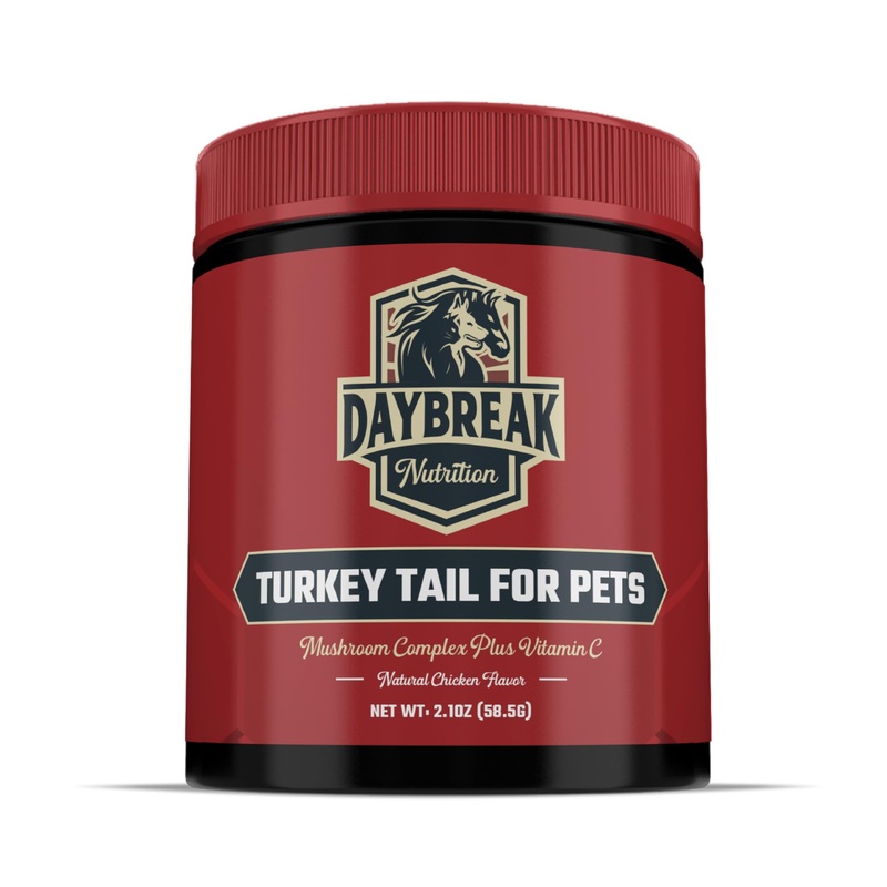 Turkey Tail for Dogs and Cats by Daybreak Nutrition | Premium Blend of Turkey Tail, Shiitake, & Reishi Mushrooms | Immunity Supplement for Pets | Provide an Immunity Boost for Dogs and Cats | 2.1 oz 30 Servings