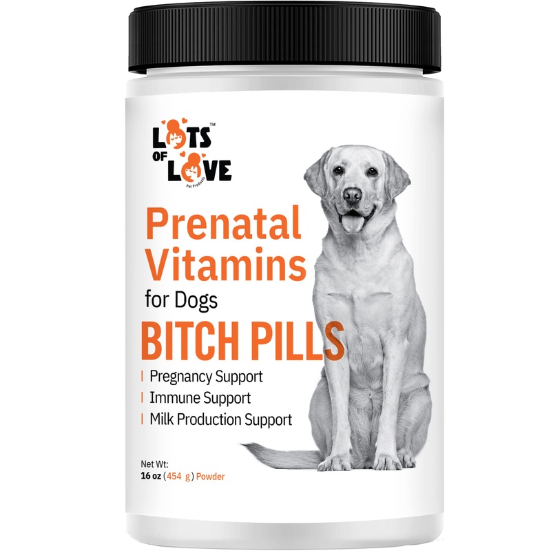 Bitch Pills Powder – Prenatal Vitamins for Pregnant Dogs (Earlier Thomas Pet) – Folic Acid, DHA, Calcium, Iron, Vitamin A, B12, C, E Supplements for Dog (Liver, 1 Pound) Liver
