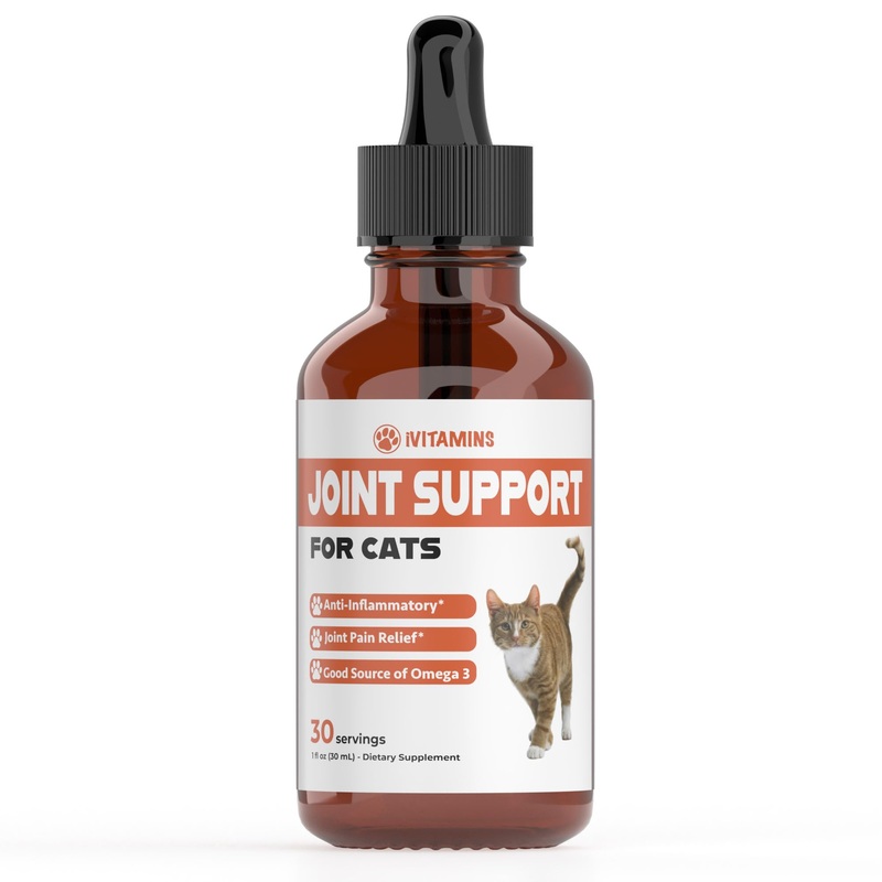 Cat Joint Supplement – Cat Joint Pain Relief – Cat Hip and Joint Supplements Pain Relief – Cat Joint Supplements – Joint Support for Cats – Hip and Joint for Cats – Cat Joint Support – 1 fl oz