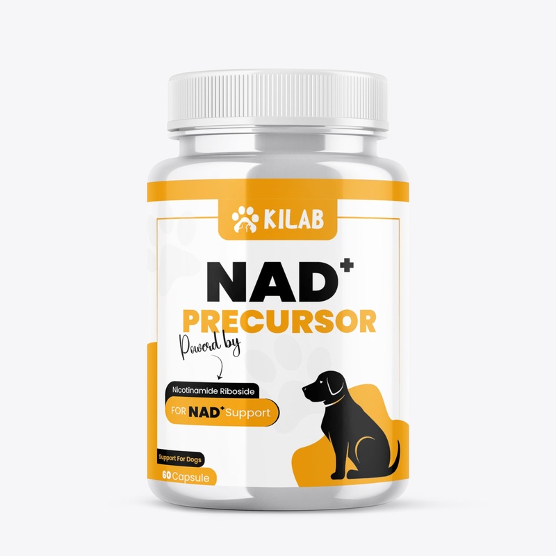 NAD+ Precursor Supplement for Dogs – Supports Healthy Aging & Skeletal Muscle Support & Recovery – Brain, Heart, & Cellular Energy Support – Nicotinamide Riboside Chloride – 60 Capsules
