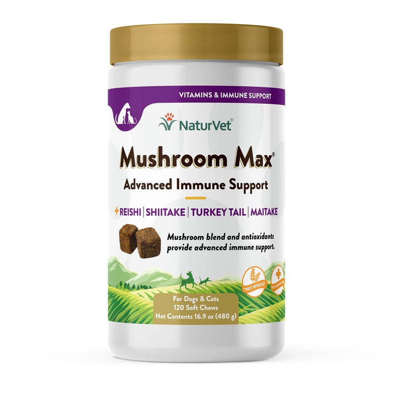 NaturVet Mushroom Max Advanced Immune Support Dog Supplement  Helps Strengthen Immunity, Overall Health for Dogs  Includes Shitake Mushrooms, Reishi, Turkey Tail  120 Ct. 120 Soft Chews