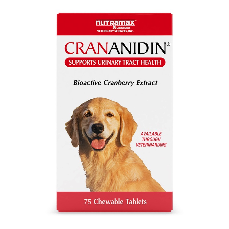 Nutramax Laboratories Crananidin Cranberry Extract Urinary Tract Health Supplement for Dogs, 75 Chewable Tablets 75 Count