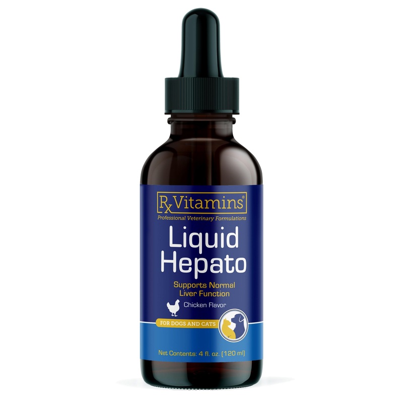 Rx Vitamins Liquid Hepato – Liquid Liver Support Supplement with Milk Thistle Extract – Hepatic Dog Supplement Enriched with Vitamin B Complex – Chicken Flavor (4oz)