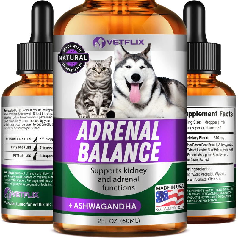 Vetflix Natural Pet Supplement for Dogs and Cats – Immune System Support and Overall Wellbeing – 2 fl oz Cushings Treatment