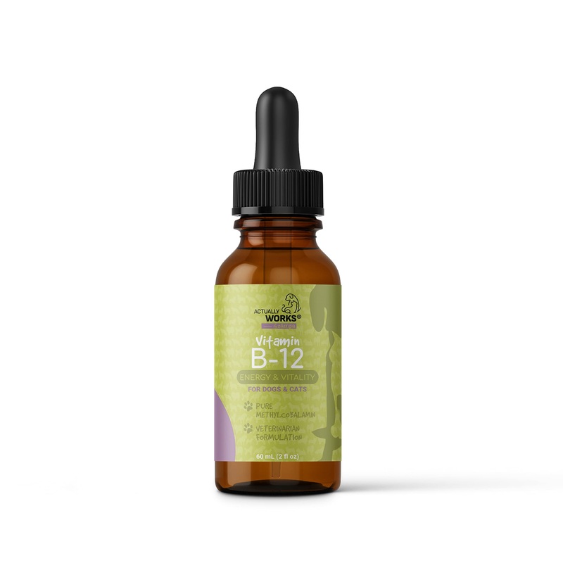 Zampa Liquid Vitamin B12 for Dogs and Cats – Pure Methylcobalamin (Methyl B 12) Vitamin Supplements for Pets to Increase Energy, Vitality and Mood – 2 oz (60 ml)