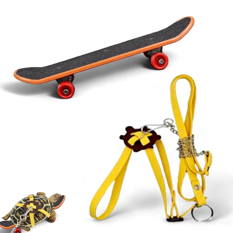 Adjustable Tortoise Leash and Funny Skateboard Set, Training Harness and Mini Skateboard for Turtle Dragon Bearded Lizard Small Pets, Pet Tortoise Toys, Accessories for Tortoises (Small)