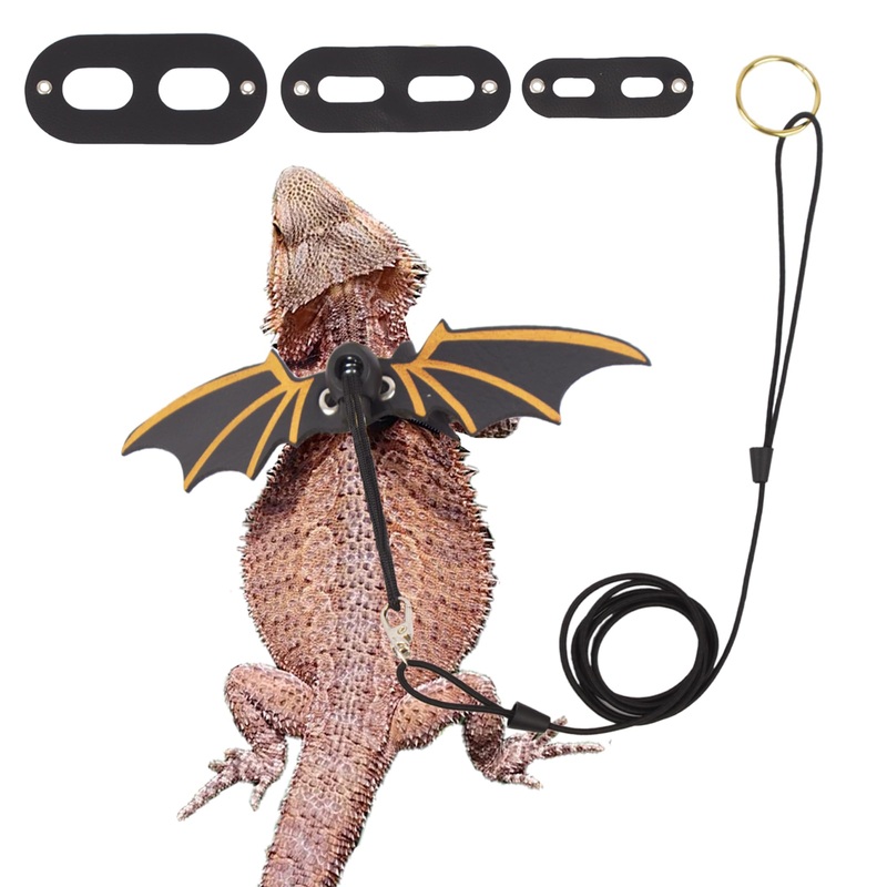 ADOGGYGO Bearded Dragon Leash Harness, 3 Size Pack Black Leather Wing Lizard Harness with Removable Lizard Leash for Bearded Dragon Lizard Reptiles (Black)
