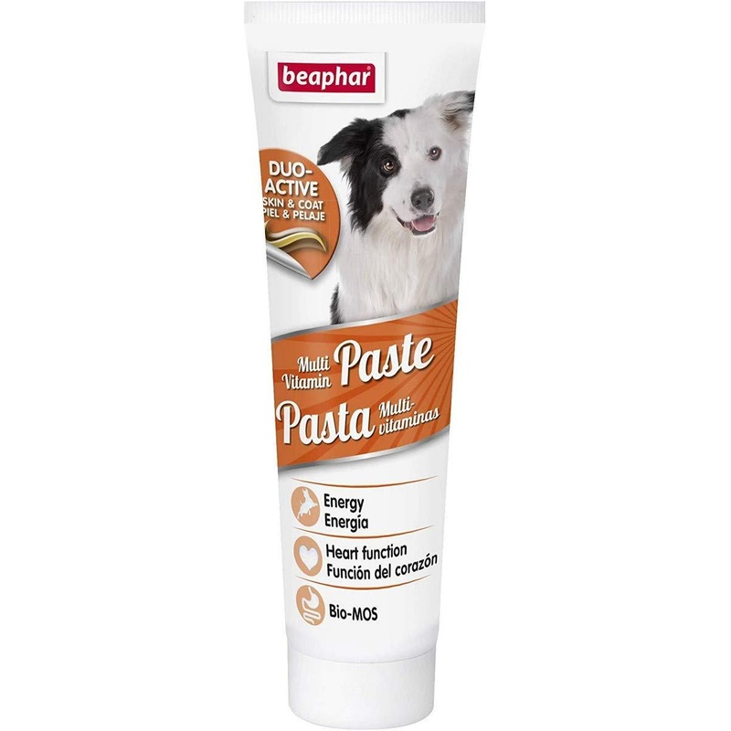 Beaphar Multivitamin Paste for Dogs, 100 g 100 g (Pack of 1)