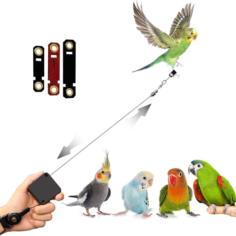 Bird Leash,Bird Harness,Retractable Anti-Bite Parrot Harness,with 3 Different Sizes of Soft Foot Ring,for Birds Outdoor Flight Training,for Budgies,Cockatiels,Psittacula Longicauda,Mini Macaws,6.5Ft