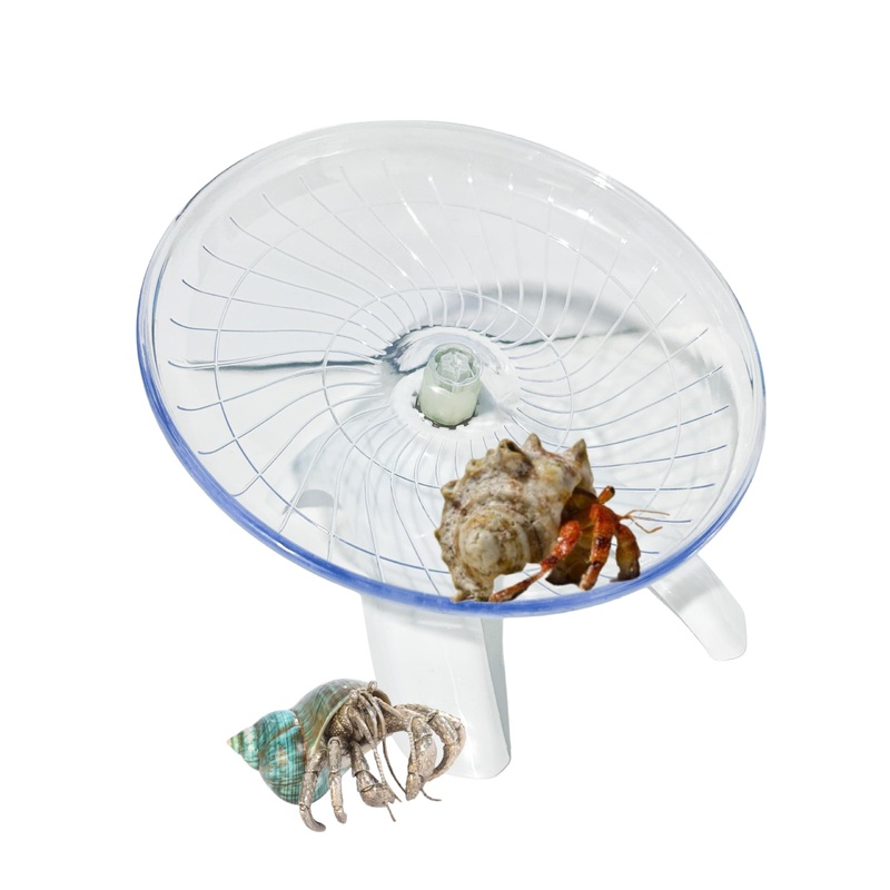 Funny Hermit Crab Running Wheel Climb Toy, Hamster Reptiles Running Flying Wheel Saucer, Cute Running Wheel for Guinea Pig Small Pet Animals Tree Frog Hamster Lizard Salamander Hermit Crab (White) White