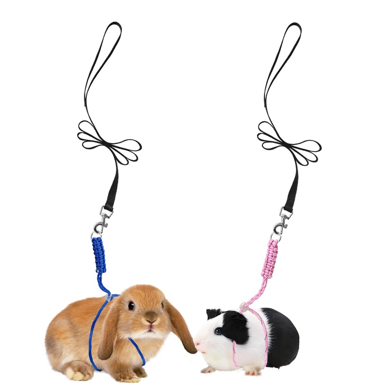 Handmade Figure 8 Harness and Leash for Ferrets/Bearded Dragons/Guinea Pigs/Rats/Chinchillas/Reptiles/Birds/Squirrels/Small Animals Pets up to 15lb Blue+Pink
