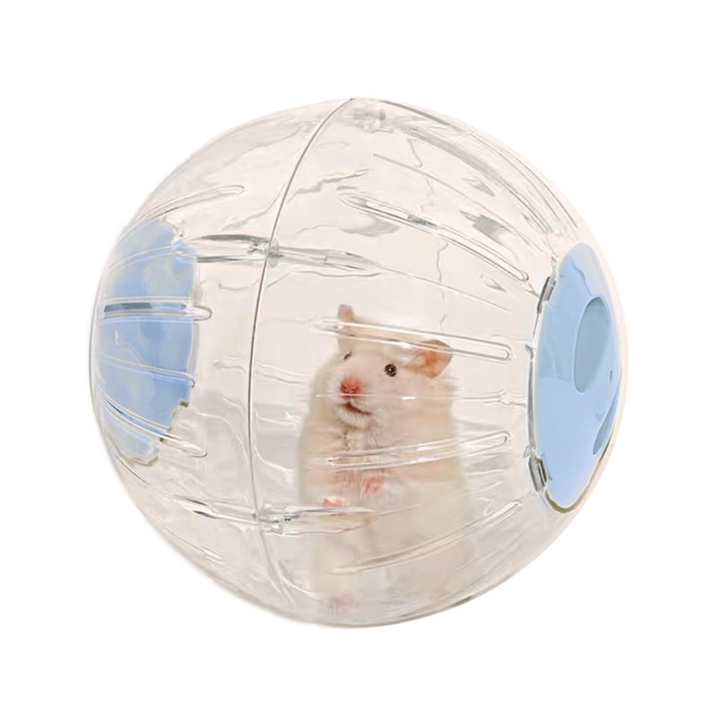 Large Hamster Wheel Sport Running Ball Hamster Toys for Hamsters Guinea Pig Mice Ferret Small pet 7.3 x 7.3 x 7.3 Blue