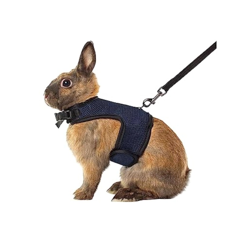 MANON ROSA Rabbit Harness and Leash Set – Adjustable Escape-Proof Training and Walking Gear for Guinea Pigs Bunnies Chinchillas Hamsters Ferrets Rats Kittens and Small Dogs Puppies Cats (Black,L) Black L