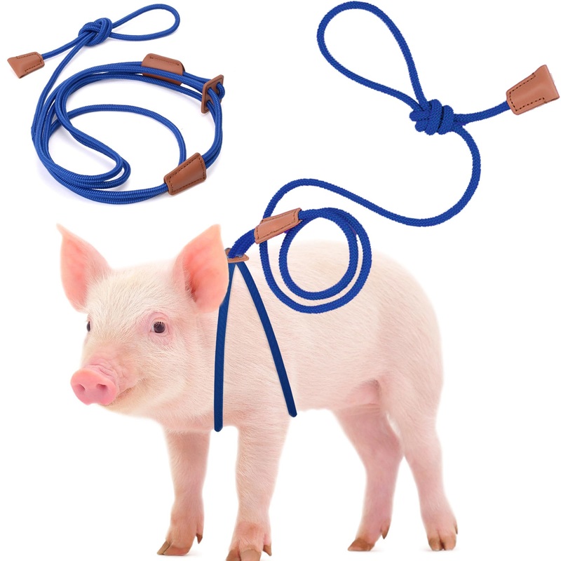 Mini Pig Harness & Leather, Pet Pig Supplies, Adjustable Rope (9 inches Long -1/2 inches Diameter), Suitable for Small and Medium-Sized Pet Pigs(Blue) Blue