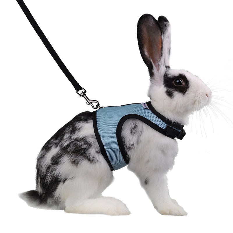Niteangel Adjustable Soft Harness with Elastic Leash for Rabbits (L, Blue) L