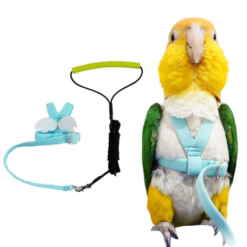 Pet Parrot Bird Harness Leash Adjustable Bird Flying Harness Traction Rope with Cute Wing for Parrots Pigeons Budgerigar Lovebird Cockatiel Mynah Outdoor Training Toy (M, Blue) Medium