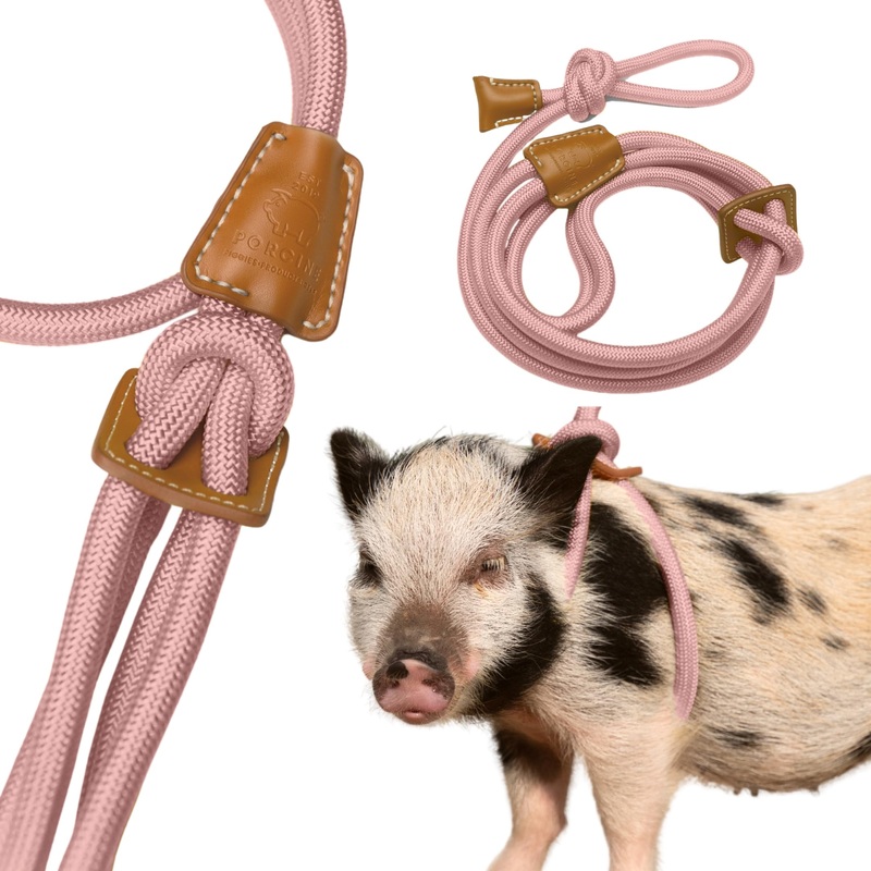 Pig Harness Leash-Fully Adjustable Pig Leash Harness for Small & Medium Pigs-Easy Step in Harness-Infinity Style Pet Pig Leash-Durable & Gentle Mini Pig Harness-Mini Pig Supplies (Small-Mauve Pink) Mauve Pink