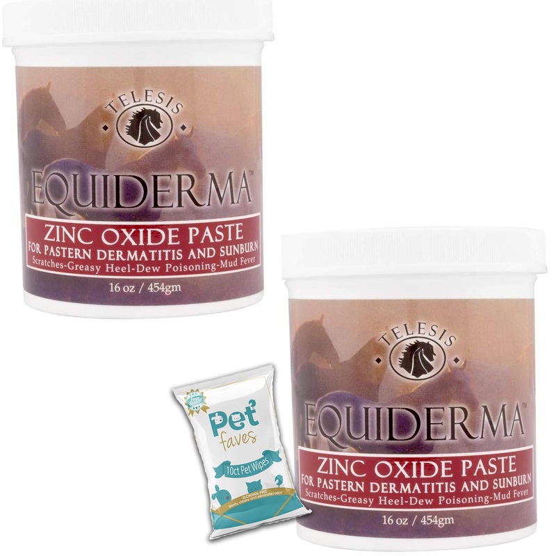 ( 2 Pack) EQUIDERMA Zinc Oxide Paste 16oz for Pastern Dermatitis and Sunburn with 10ct Pet Wipes