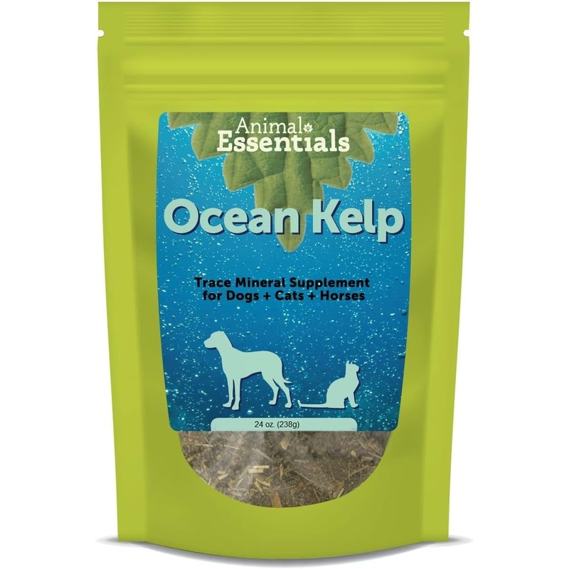 Animal Essentials Ocean Kelp for Dogs & Cats – Thyroid Support, Thyroid Supplement, Sea Kelp, Kelp Powder, Trace Mineral Supplement – 24 Oz