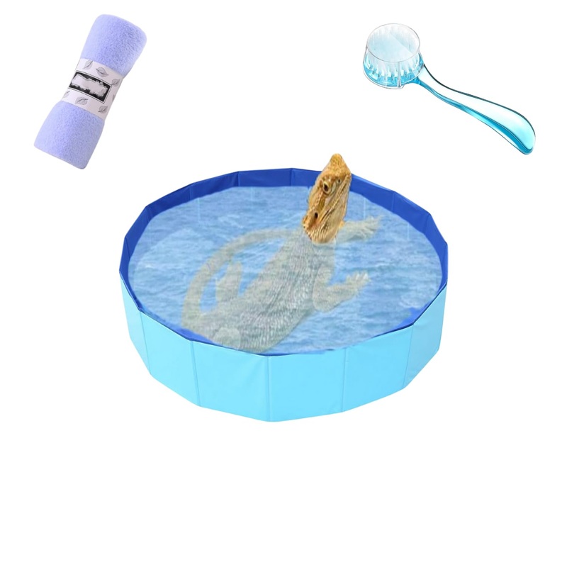 Bearded Dragons Foldable Bathtub with Soft Brush and Towel Set Reptile Accessories Swimming Pool Relax Cleaning Set for Small Pets Guniea Pig Turtle Hedgehog (11.8×3.93In) 11.8×3.93in