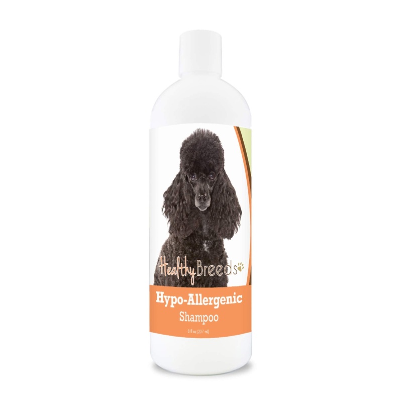 Healthy Breeds Poodle Hypo-Allergenic Shampoo 8 oz