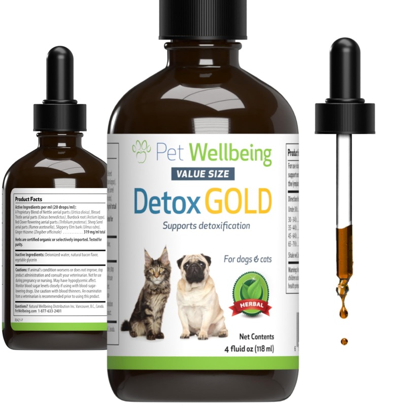 Pet Wellbeing Detox Gold for Dogs & Cats – Gentle Detoxification & Elimination Support, Immune System Care, Nettle, Blessed Thistle – Veterinarian-Formulated Herbal Supplement 4 oz (118 ml) 4 fl oz (118 ml)
