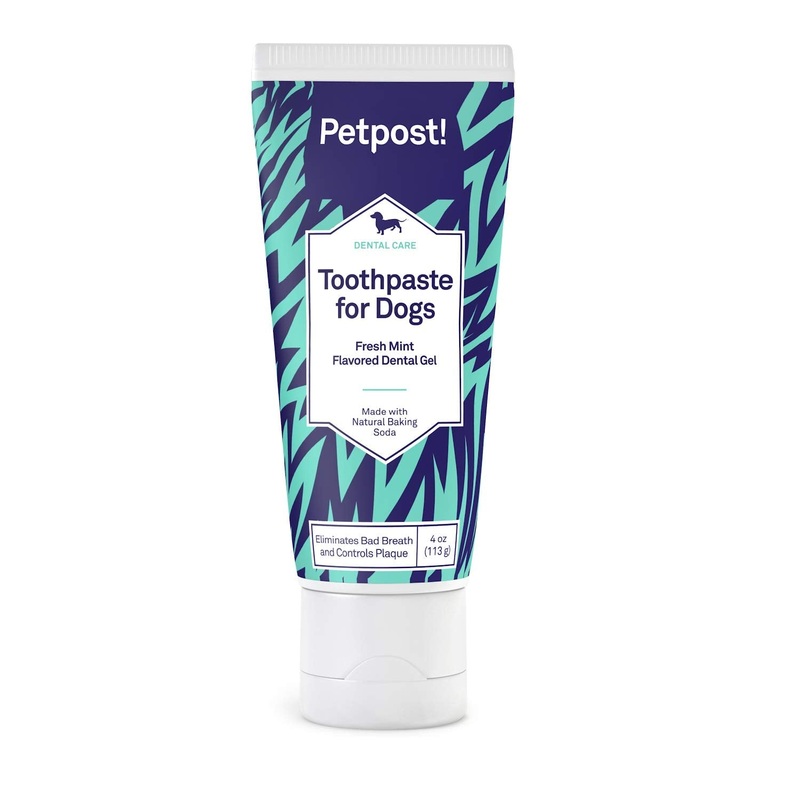 Petpost | Toothpaste for Dogs – Coconut Oil and Baking Soda Based Dental Gel That Naturally Eliminates Bad Breath – Dirt, Gunk, and Tooth Buildup Gone – Mint Flavor 4 oz. 4 Ounce (Pack of 1)
