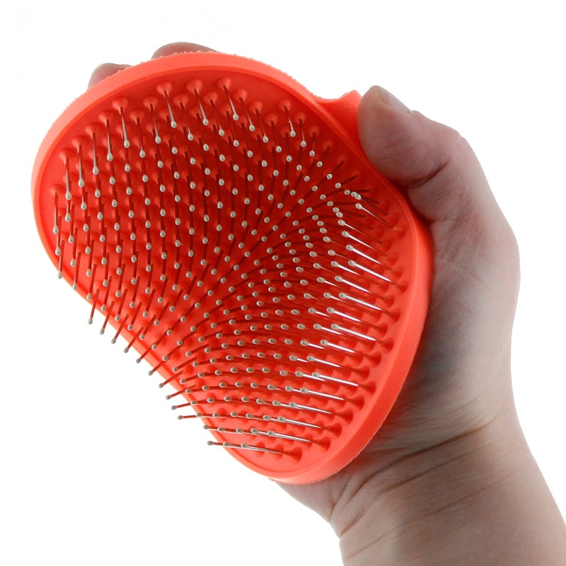 Raw Paws Pet Hand-Held Rubber Tipped Pin Brush for Dogs & Cats – Grooming Brush for Dogs Shedding – Dog Brushes for Grooming Large Dogs & Small Dogs – Bath Brush for Dogs with Short Hair & Long Hair