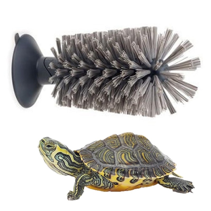 Turtle Brush with Suction Cup for Tank Scratches Back Brush Shell Cleaning Brush Scrub Red Eared Slider Turtle Exfoliate Brush for Remove Turtle Shell Scutes (Grey) Gray