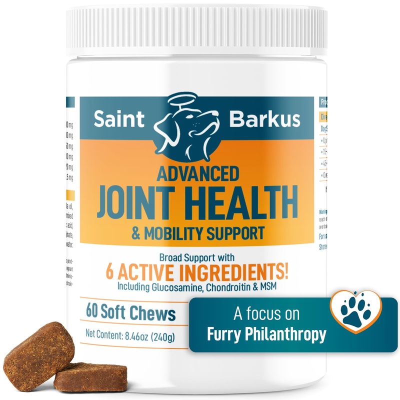 Advanced Joint Health & Mobility Support for Dogs with glucosamine, chondroitin, MSM, Green-lipped Mussels. Support no-Kill Shelters with Your Purchase! – 60 Soft Chews
