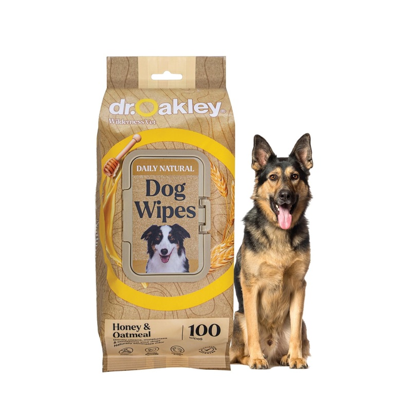 Daily Natural Dog Wipes, Honey & Oatmeal, 100 Ct, Gentle, Moisturizing, Odor-Eliminating, Alcohol-Free, Vet Approved