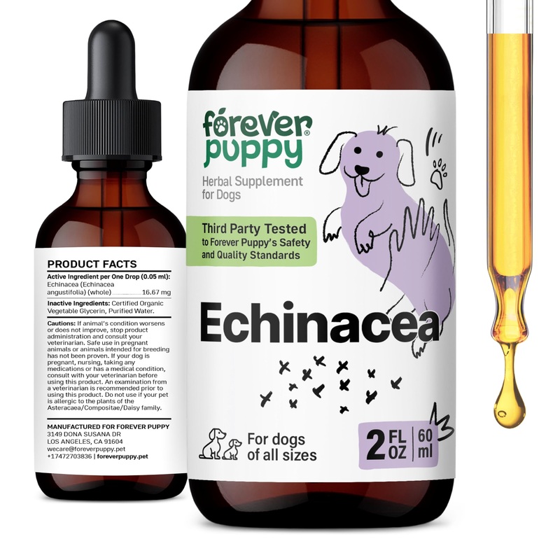 Echinacea Drops for Dogs – Respiratory Health & Immunity Support w/Echinacea Herb Tincture – Liquid Immune Support Supplement for Dogs of All Breeds & Sizes – 2 oz 2 fl oz