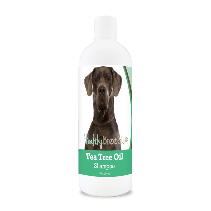 Healthy Breeds Great Dane Tea Tree Oil Shampoo  Formulated for Dry, Irritated Skin  Reduce Dandruff  Wintergreen Scent  8 oz