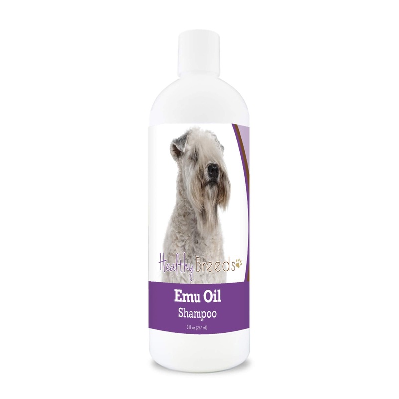Healthy Breeds Soft Coated Wheaten Terrier Emu Oil Shampoo 8 oz