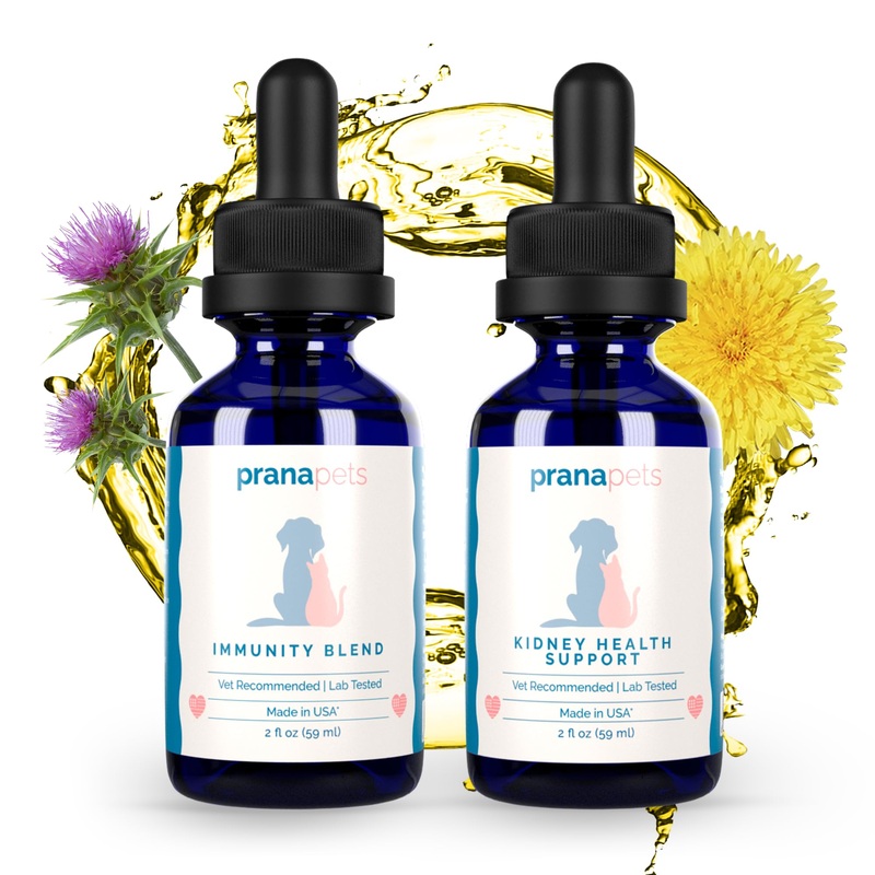 Kidney Immunity Regimen | Kidney Health Support & Immunity Blend Supplements for Cats and Dogs | Naturally Promotes Healthy Kidney Function in Dogs & Cats |