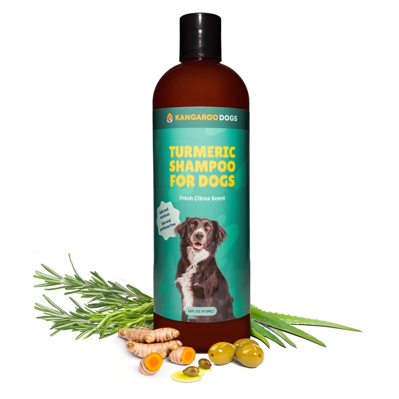 Turmeric Shampoo for Dogs, Helps Sensitive Skin & Allergies, Anti-Itch Shampoo, Dog Skin and Coat Supplement with All Natural Ingredients & Organic Turmeric, Dye & Perfume Free (16 OZ)