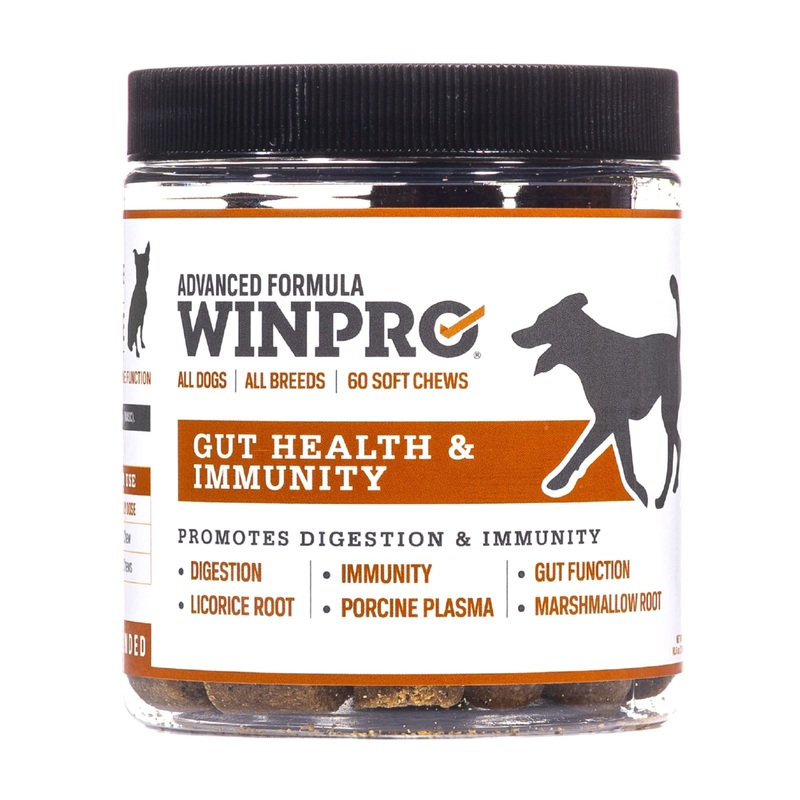 WINPRO Dog Gut Health Supplements  Plasma-Powered Chews for Dog Immune Support & Digestive Health, Fast-Acting Solution for Gut Health for Dogs of All Breeds & Sizes, 60 Count, Made in USA