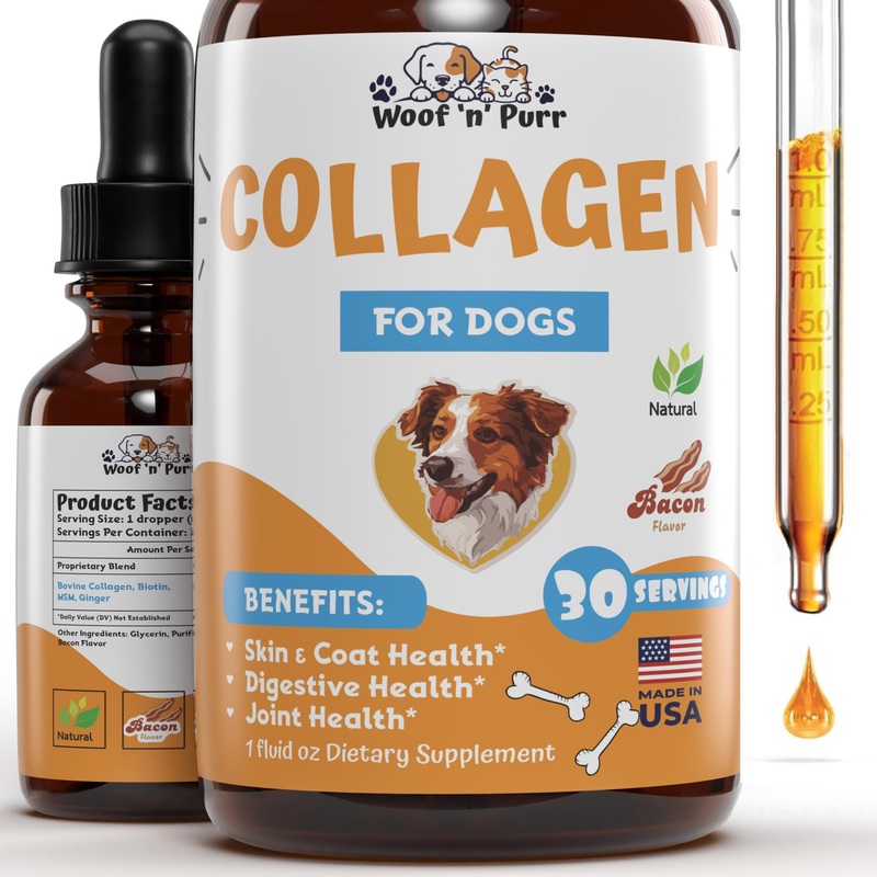 Collagen for Dogs – Liquid Collagen for Dogs – Skin and Coat Supplement for Dogs – Dog Liquid Collagen – Dog Collagen – Dog Collagen Drops – Collagen Dog – Collagen Dogs – 1 fl oz