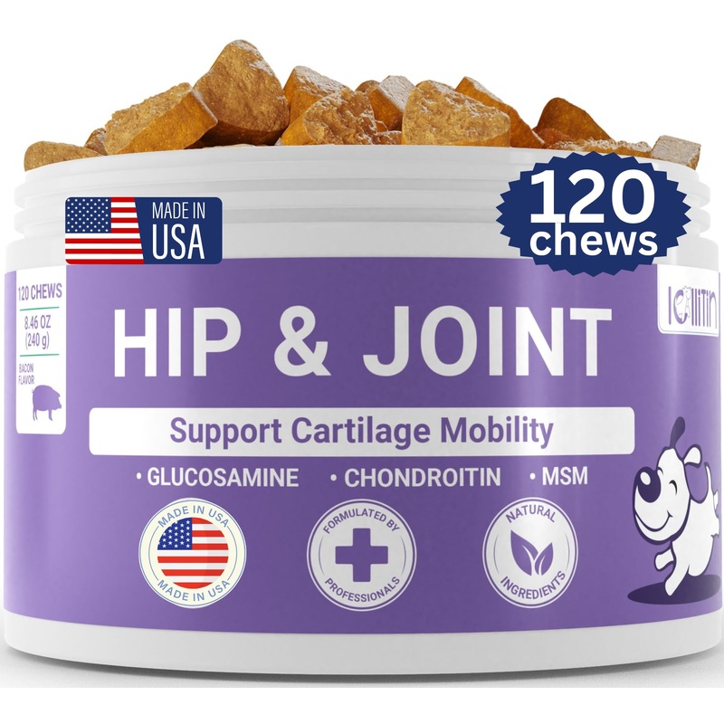 Dog Hip and Joint Supplement – Made in USA Dog Joint Supplement for Mobility Issues – Relief with Glucosamine for Dogs, MSM – 120 Count, Bacon Flavor – All Natural Dog Joint and Hip Supplement Joint Relief