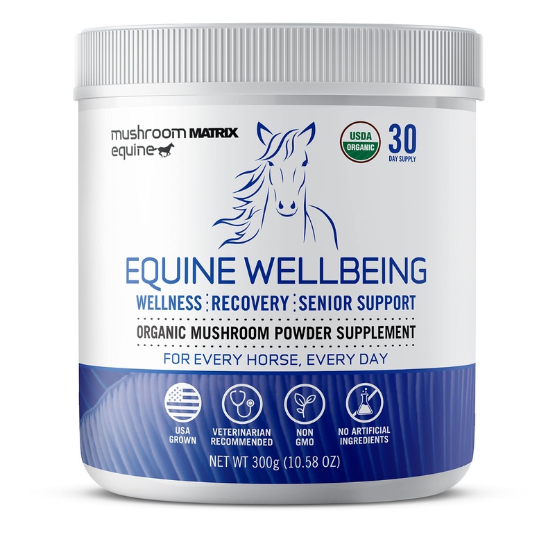 Om Mushroom Matrix – Equine | Wellbeing | USA Grown Human-Grade Organic Mushroom Powder Show Safe Horse Supplement | Wellness, Recovery, & Senior Support | 300 Grams, 10.5 oz